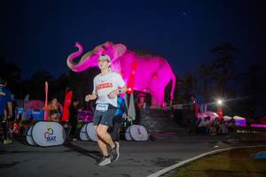 BIB: 
                            <button type="button" onclick="openModal(26551757)" class="btn btn-primary btn-sm float-right btn-popup" data-toggle="modal" data-target=".modal-high-quality">
                        <i class="fas fa-shopping-cart"></i> Add to Cart
                    </button>
                                            <button type="button" onclick="isThisMe(26551757, true)" class="btn btn-success btn-sm float-right btn-popup btn-isme hidden" data-toggle="tooltip" data-placement="bottom" title="นี่คือรูปของคุณใช่ไหม คลิกที่นี่เพื่อเอาเข้าอัลบั้ม">
                        <i class="fas fa-plus"></i> Add to album
                    </button>
                    <button type="button" onclick="isThisMe(26551757, false)" class="btn btn-warning btn-sm float-right btn-popup btn-isnotme hidden">
                        <i class="fas fa-ban"></i> Remove from album
                    </button>